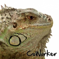 Co-worker