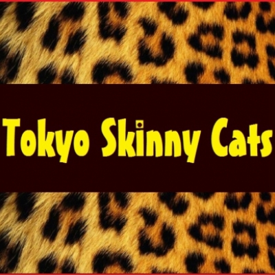 Tokyo Skinny Cats