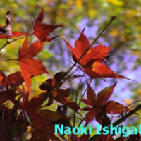 Naoki