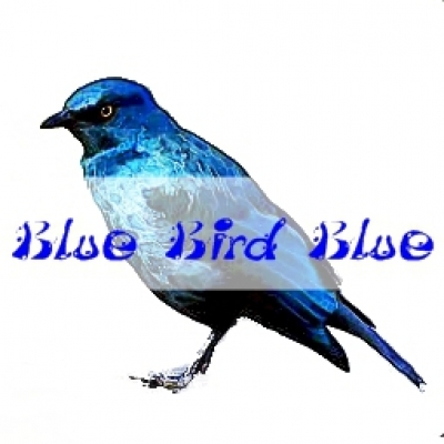 Blue Bird Blue