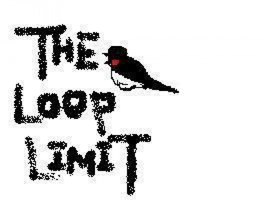 THE LOOP LIMIT