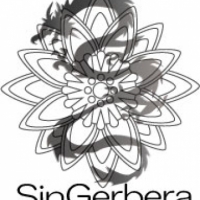 SinGerbera
