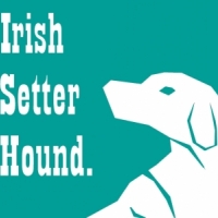Irish Setter Hound