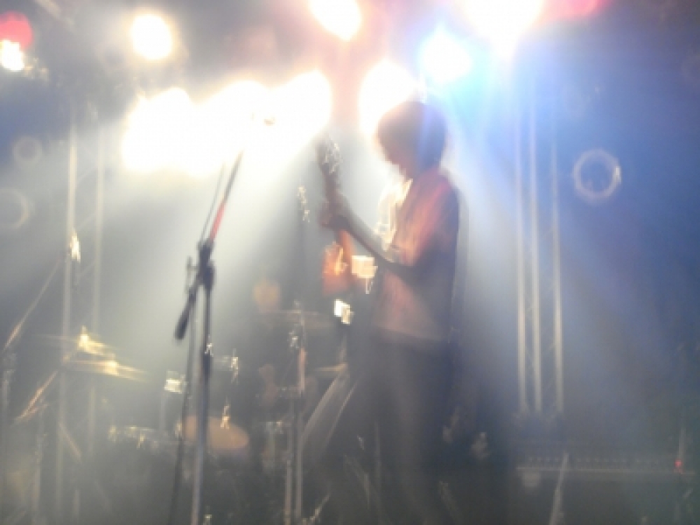 THE BLUESTONE