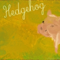 Piggy Hedgehog