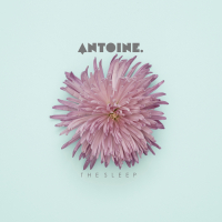 ANTOINE.
