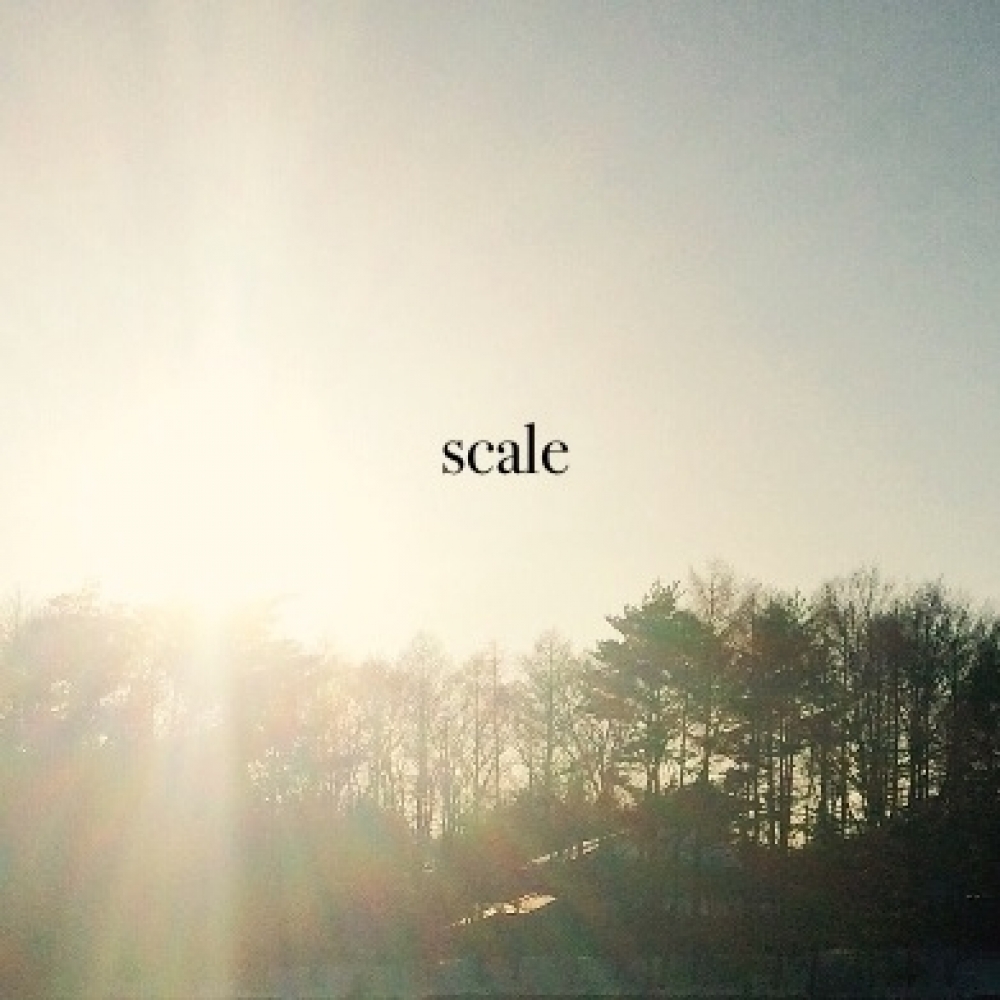 scale