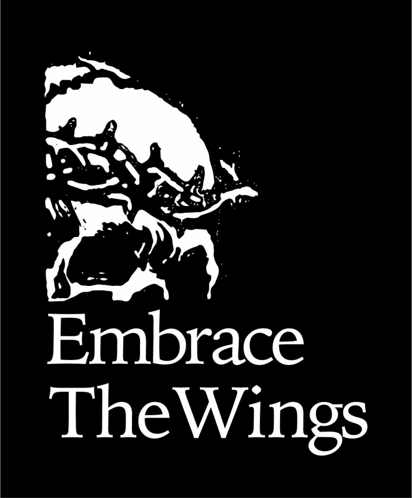 Embrace The Wings