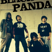 BLACK PANDA