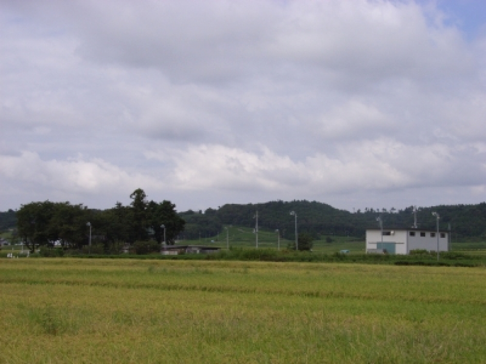 Kaiteijin