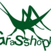 Grasshopper