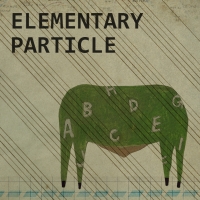 ELEMENTARY PARTICLE