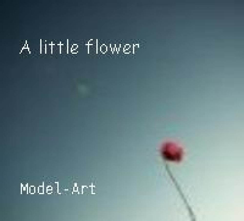 Model-art