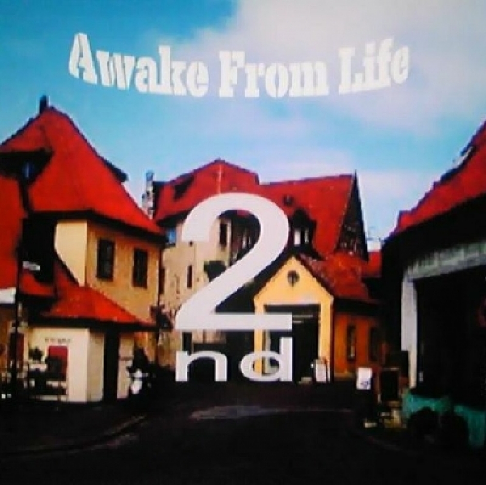 Awake From Life