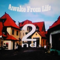 Awake From Life