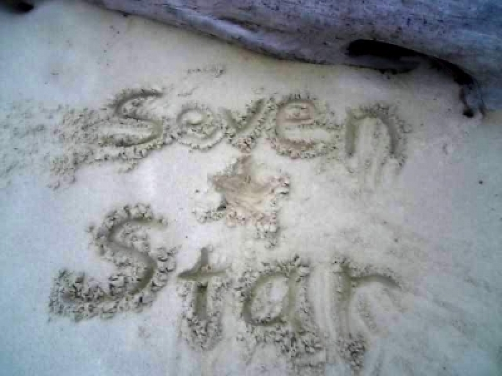 Seven☆Star