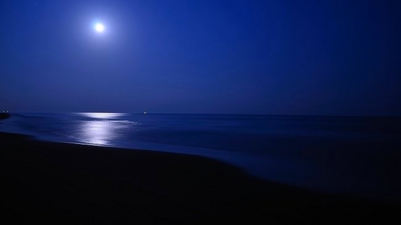 夜の海辺