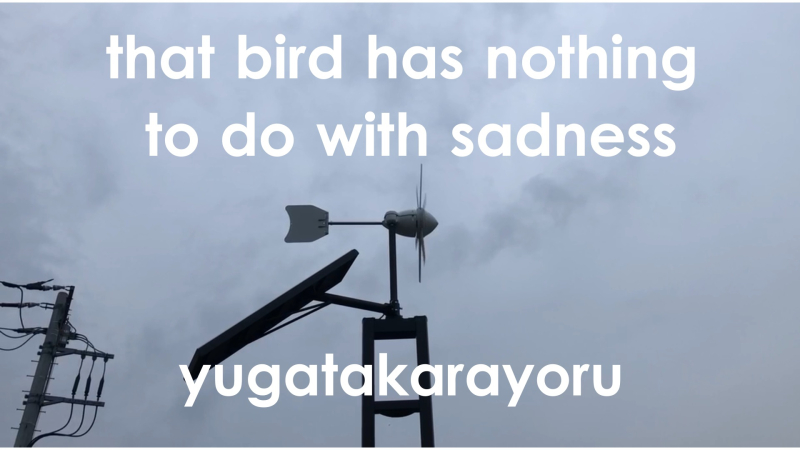 あの鳥は悲しみと関係ない _ that bird has nothing to do with sadness