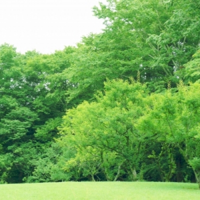 YUYA